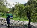 Schnapsbrennerei Baron Droste Hülshoff - Schauinsland Lamas in Horben